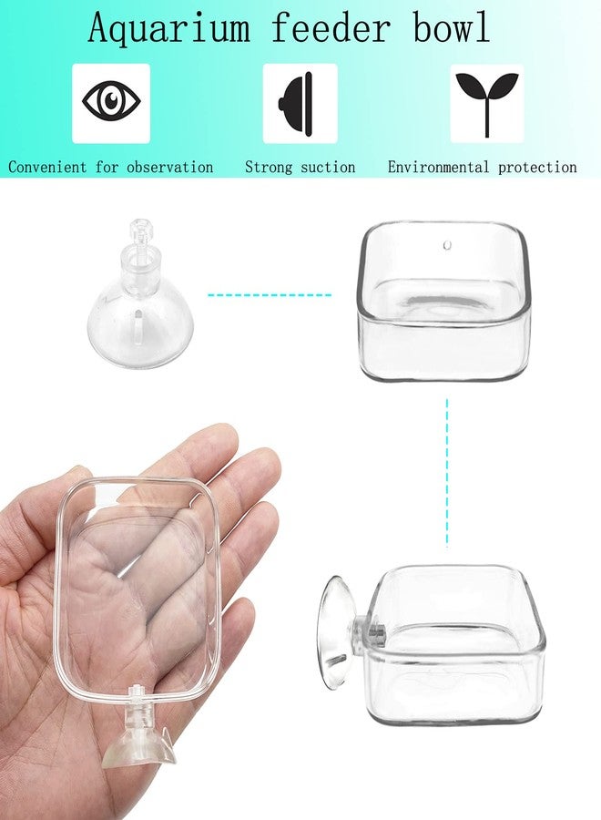 IAFVKAI Aquarium Shrimp Feeder Dish Glass Fish Tank Feeding Bowls, 2pcs Square Glass Food Bowl (60mm), 1pcs Round Fish Feeding Bowls with Suction Cups (60mm) - Image 4